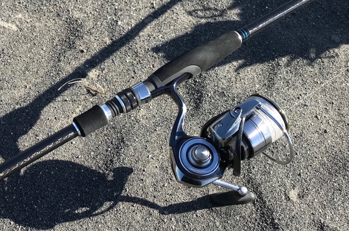 DAIWA 19セルテート 4000CXH | tspea.org